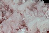 Pink Halite Crystal Plate - Trona, California #61053-2